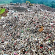 The world has moved from a period of surplus to one of shortage and scarcity.